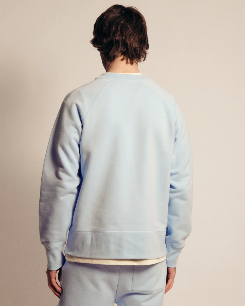 The sweatshirt - Light Blue